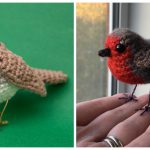 Robin Bird Amigurumi Crochet Patterns