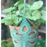 How to Crochet Monstera Leaf Plant Hanger