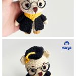 Grad Bear Free Crochet Pattern