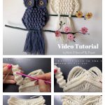 Crochet Macrame Owl Wall Hanging Video Tutorial