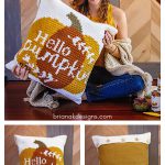 Hello Pumpkin Pillow Cover Free Crochet Pattern