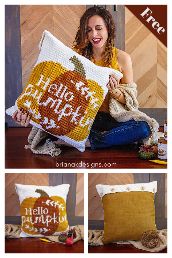 Hello Pumpkin Pillow Cover Free Crochet Pattern
