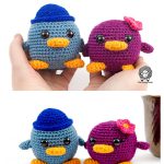 Bob and Betty Bird Free Crochet Pattern