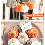 Little Pumpkin Free Crochet Pattern