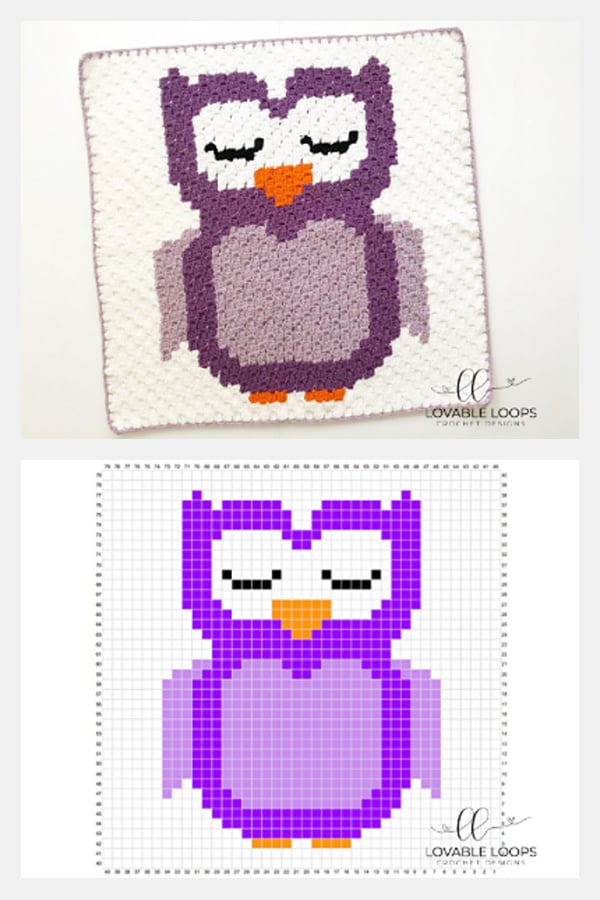 Owl C2C Baby Blanket Free Crochet Pattern
