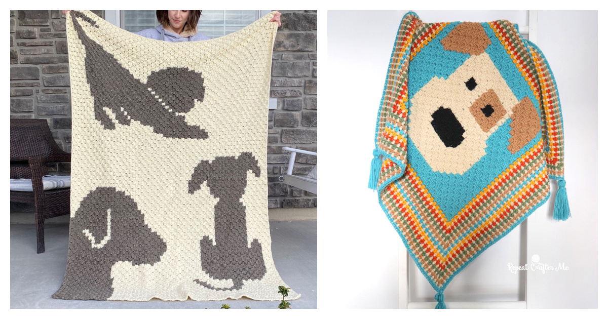 Ravens blanket C2C  Crochet blanket patterns, Crochet projects, Crochet  patterns free blanket