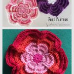 Powerful Petal Dishcloth Free Crochet Pattern