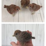 Sparrow Bird Crochet Pattern