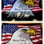 American Eagle Flag Crochet Pattern