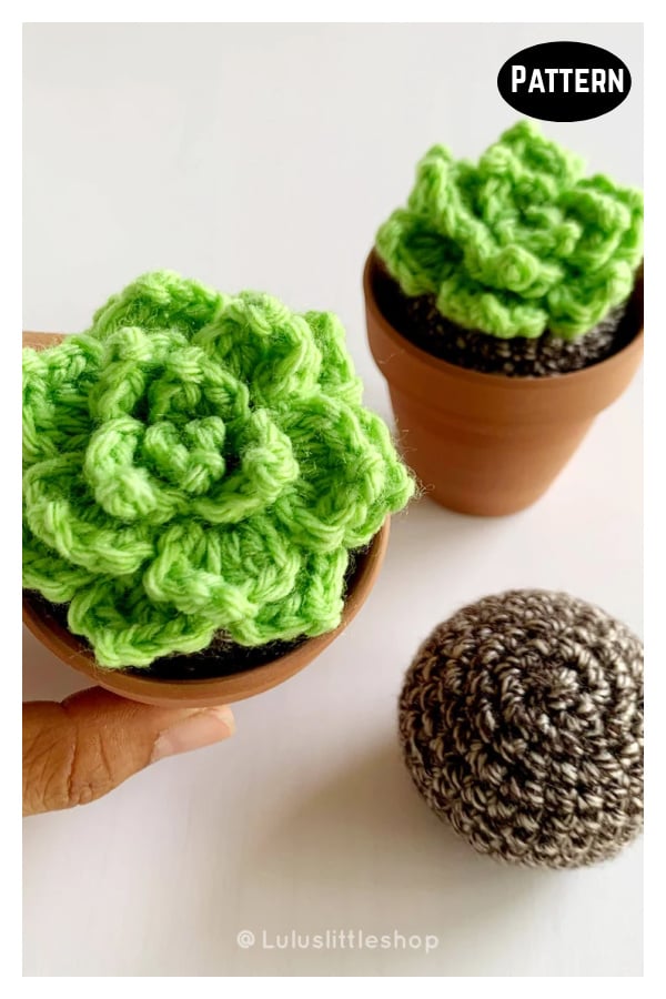 Pointy Leaf Succulents Crochet Pattern