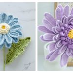 10+ Gerbera Flower Crochet Patterns
