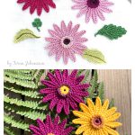 Autumn Gerbera Flower Free Crochet Pattern