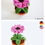 Gerbera Flower Crochet Pattern