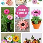 Gerbera Flower Crochet Patterns