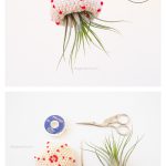 Air Plant Jellyfish Free Crochet Pattern