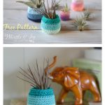 Air Plant Pot Free Crochet Pattern