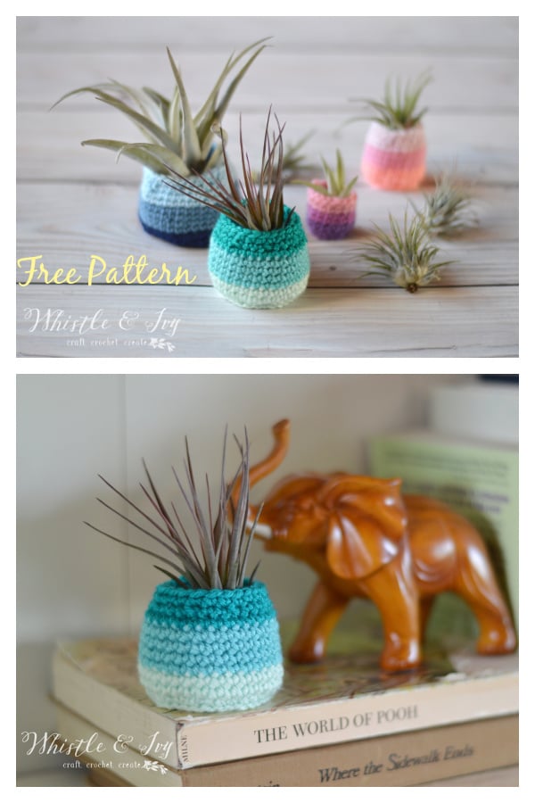 Air Plant Pot Free Crochet Pattern