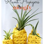 Lucky Pineapple Plant Hangers Free Crochet Pattern