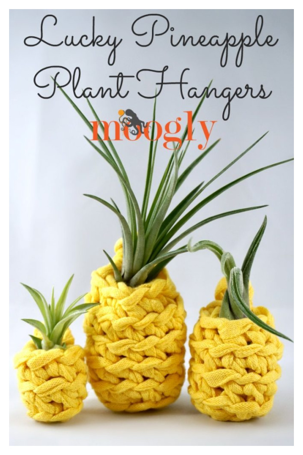 Lucky Pineapple Plant Hangers Free Crochet Pattern