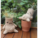 Mandrake Air Plant Holder Crochet Pattern