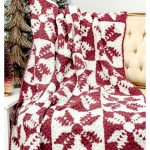 Rustic Snowflake C2C Blanket Free Crochet Pattern