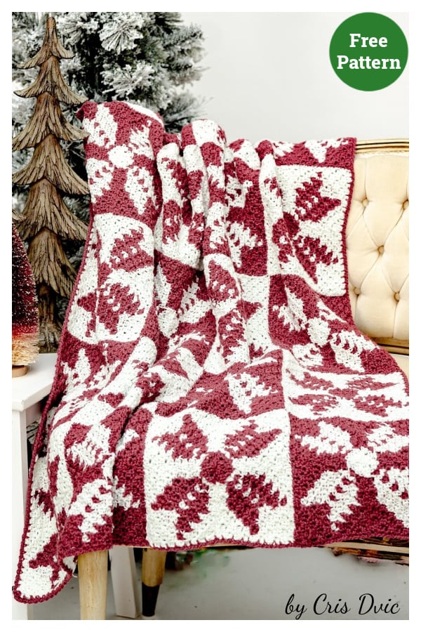 Rustic Snowflake C2C Blanket Free Crochet Pattern