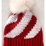 Sweet Swirl Beanie Free Crochet Pattern