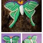Amigurumi Luna Moth Free Crochet Pattern