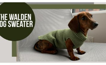 The Walden Dog Sweater Free Crochet Pattern