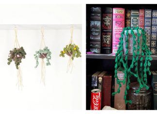 Mini Hanging Plant Crochet Patterns