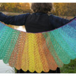 Tunisian Macaw Wings Shawl Free Crochet Pattern