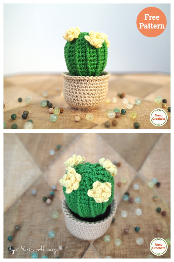 Barrel cactus Amigurumi Free Crochet Pattern