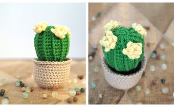 Barrel cactus Amigurumi Free Crochet Pattern
