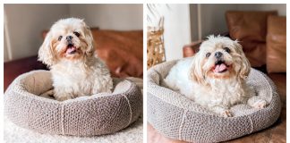Modern Pet Dog Bed Free Crochet Pattern