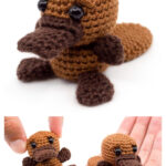 Mini Platypus Amigurumi Free Crochet Pattern