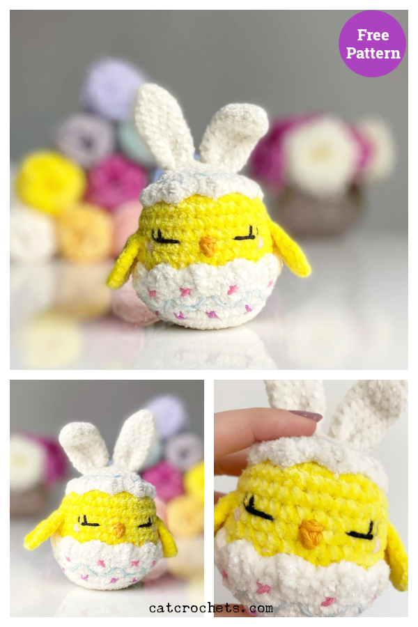 Chick in Easter Egg Free Crochet Pattern