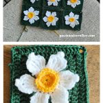 Daffodil Square Free Crochet Pattern and Video Tutorial