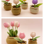 Mini Tulip Pot Amigurumi Free Crochet Pattern