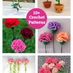 10+ Crochet Carnation Flower Patterns