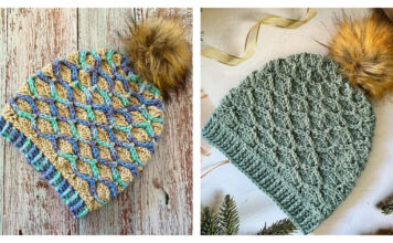 Making Memories Beanie Free Crochet Pattern