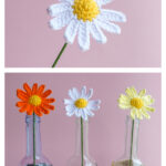 Daisy Flower Free Crochet Pattern