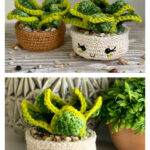 Dwarf Snake Plant Crochet Pattern