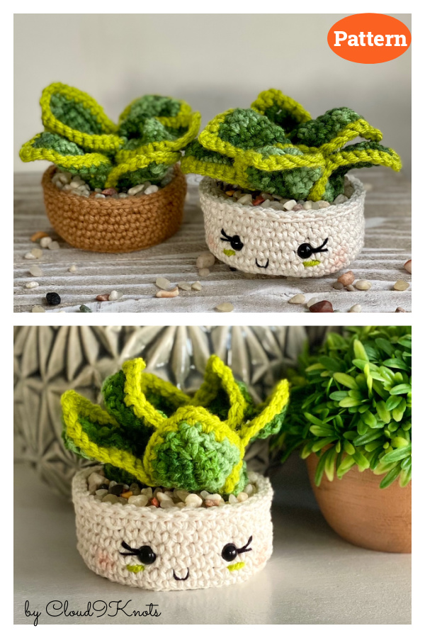 Dwarf Snake Plant Crochet Pattern