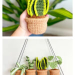 Mini Snake Plant Crochet Pattern