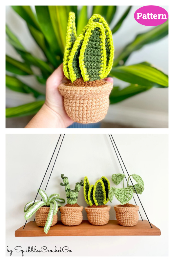 Mini Snake Plant Crochet Pattern