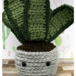 Snake Plant Free Crochet Pattern