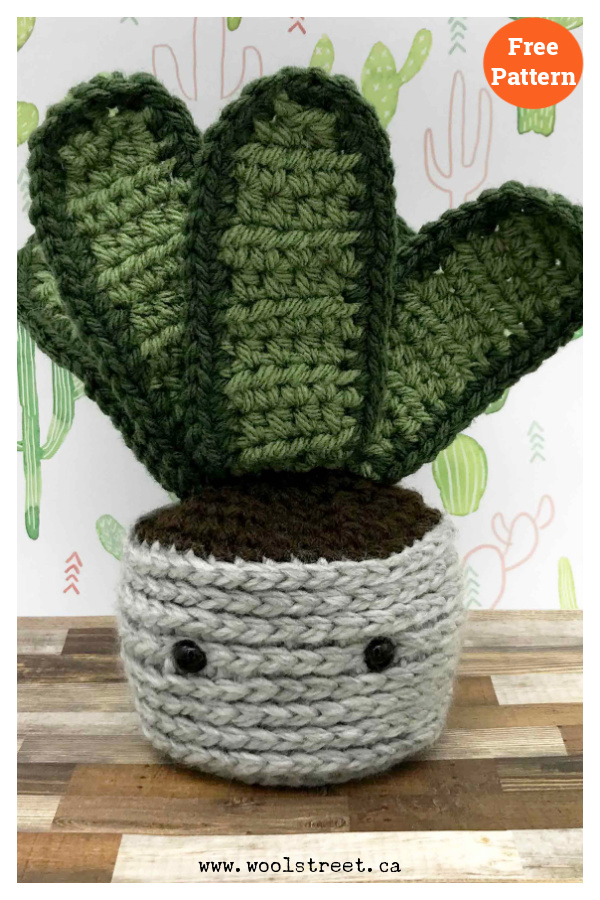 Snake Plant Free Crochet Pattern