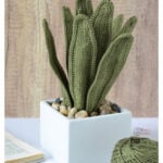 Snake Plant Free Crochet Pattern