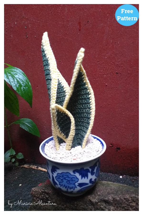 Snake Plant Free Crochet Pattern