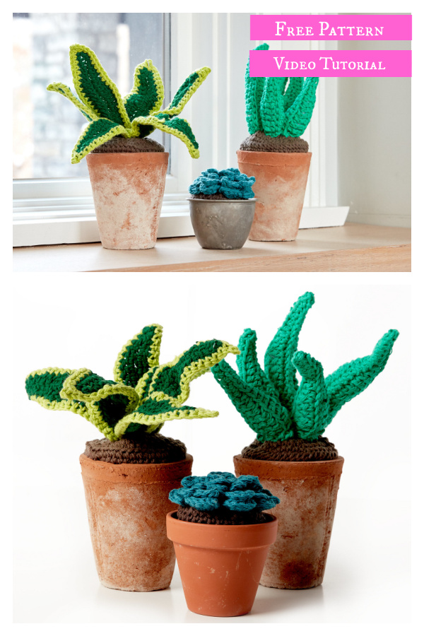 Succulents Free Crochet Pattern and Video Tutorial